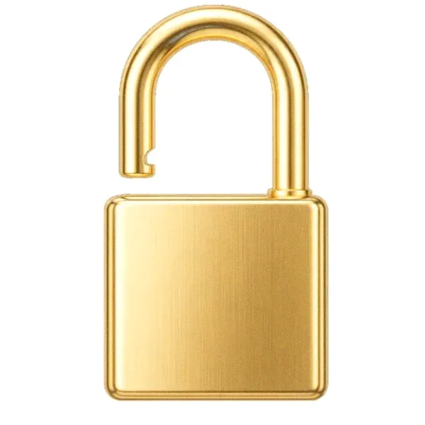 Padlock — Yukon Gold
